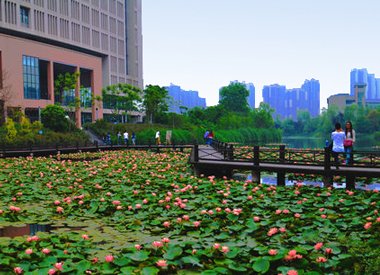 数学与计算机科学系