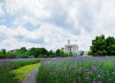 数学与计算机靠谱的滚球app下载最新